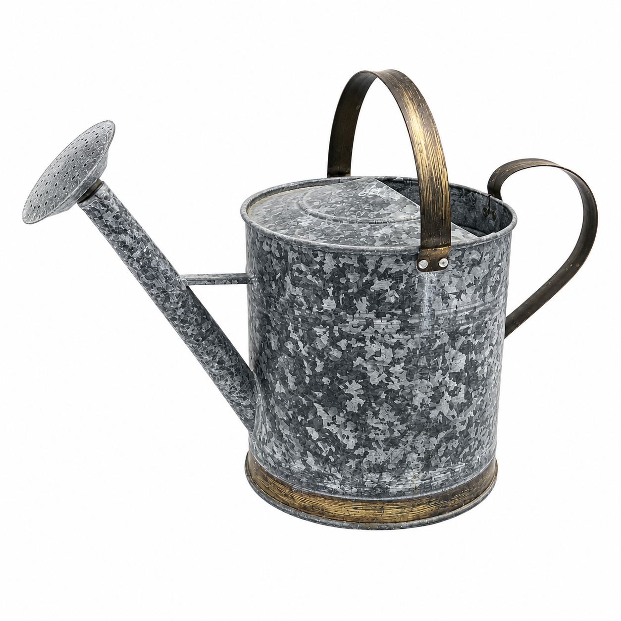 Galvanized Metal Garden Watering Can with Rose Spout