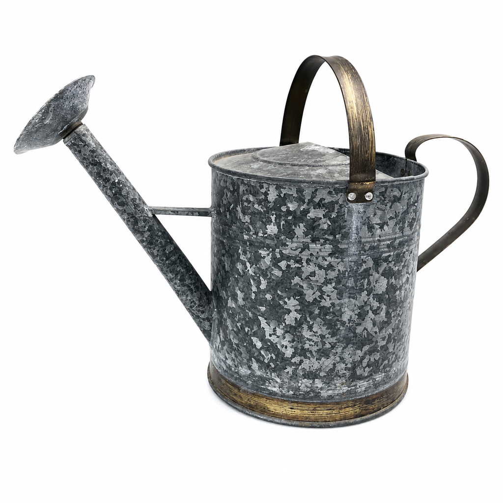 Galvanized Metal Garden Watering Can with Rose Spout